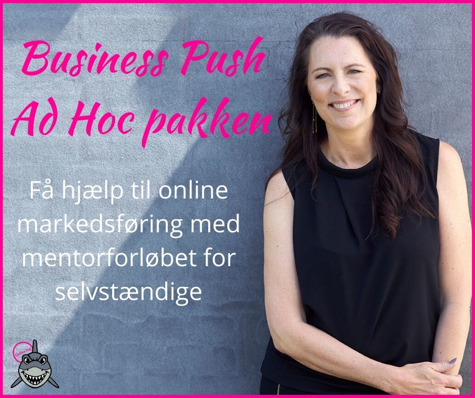 Hjælp til online markedsføring Ad Hoc pakken Hjælp til online markedsføring Ad Hoc pakken