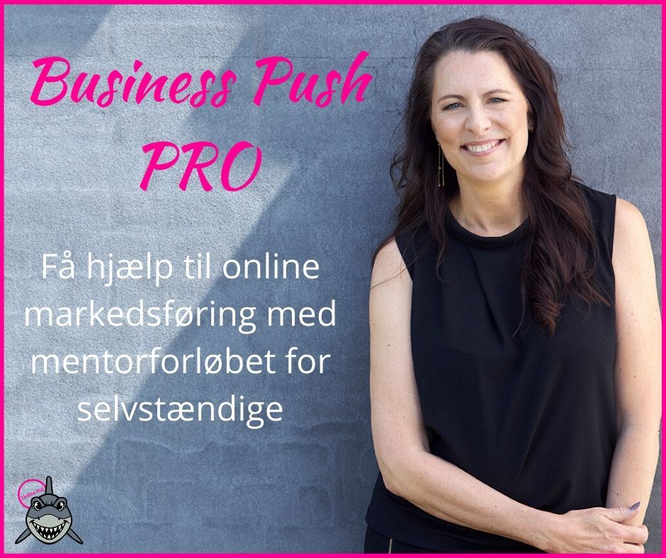 Hjælp til online markedsføring Pro pakken Hjælp til online markedsføring Pro pakken