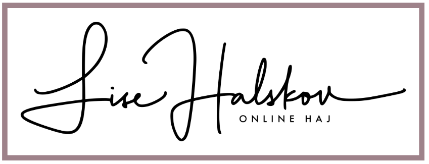 Lise Halskov logo hand brown